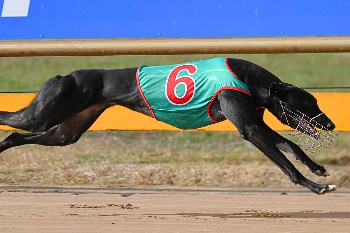 Lilydale winning her fourth race from five starts for Gary George.