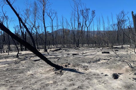Aftermath of the Pomonal fire at Marc Sleeman's property in Pomonal.