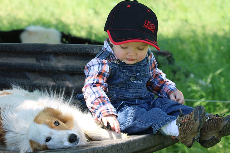 Succession planning session for farming families - feature photo