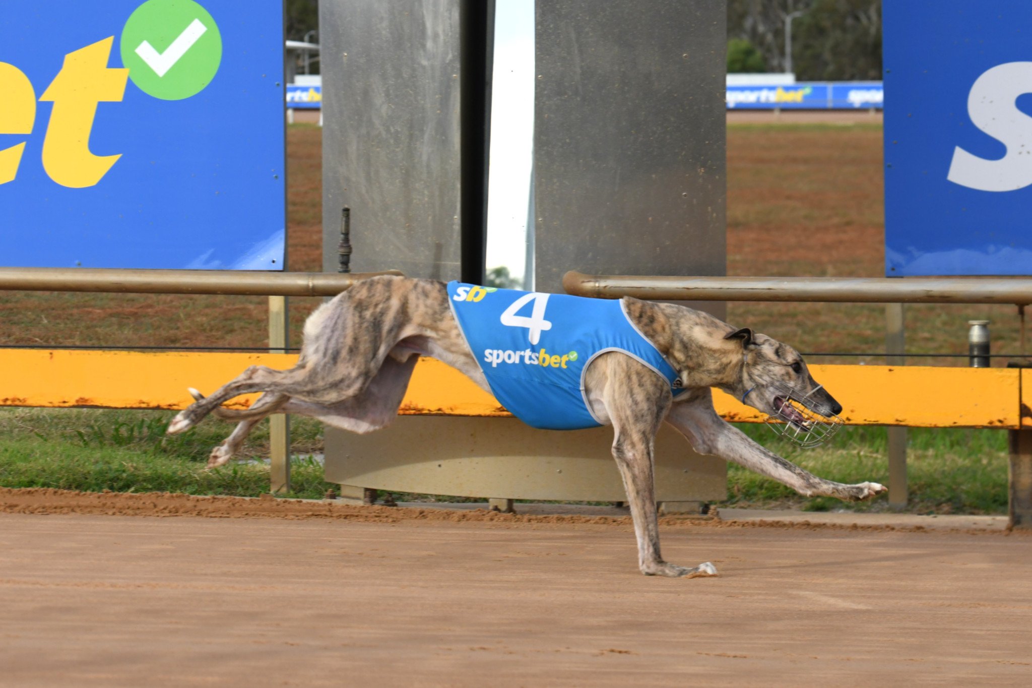 Paw Lampades Winning for Andrea Gurry on April 28.