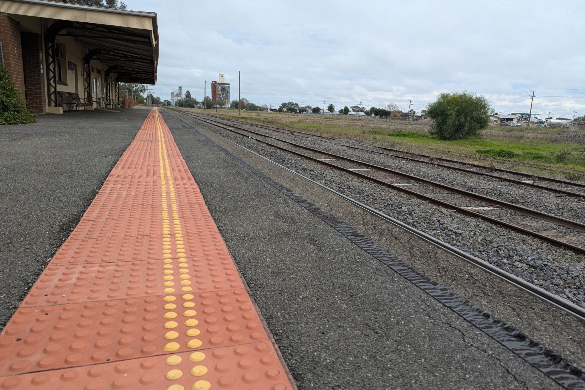 Members of the RAISE Your Voice Disability Advocacy Group are calling on community members to have their say on transport accessibility through a community survey. Photo credit : Natalie Anderson