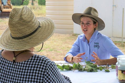 Rural Aid counsellor Heidi Gray chats with a farmer on-site and helps her through some tough times leading up to Christmas