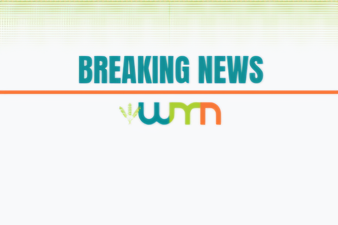 CEO Sunil Bhalla resigns - feature photo