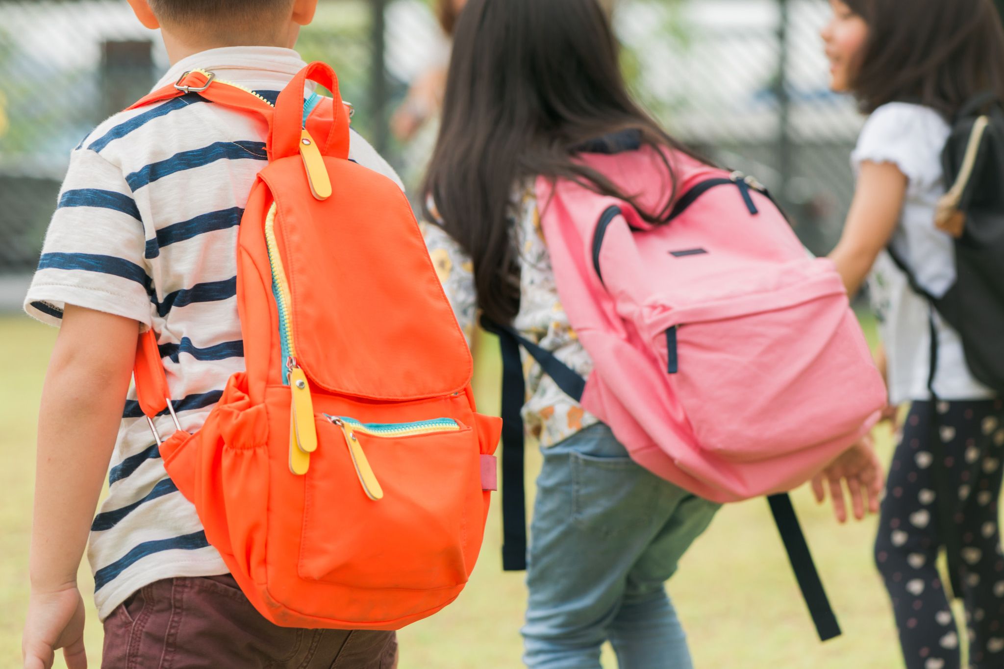 Enrolments open for 2025 pre-prep program - feature photo