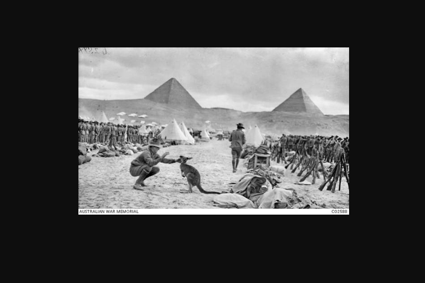 Lines of the Australian 9th and 10th Battalions at Mena Camp, Cairo, looking towards the pyramids of Giza.