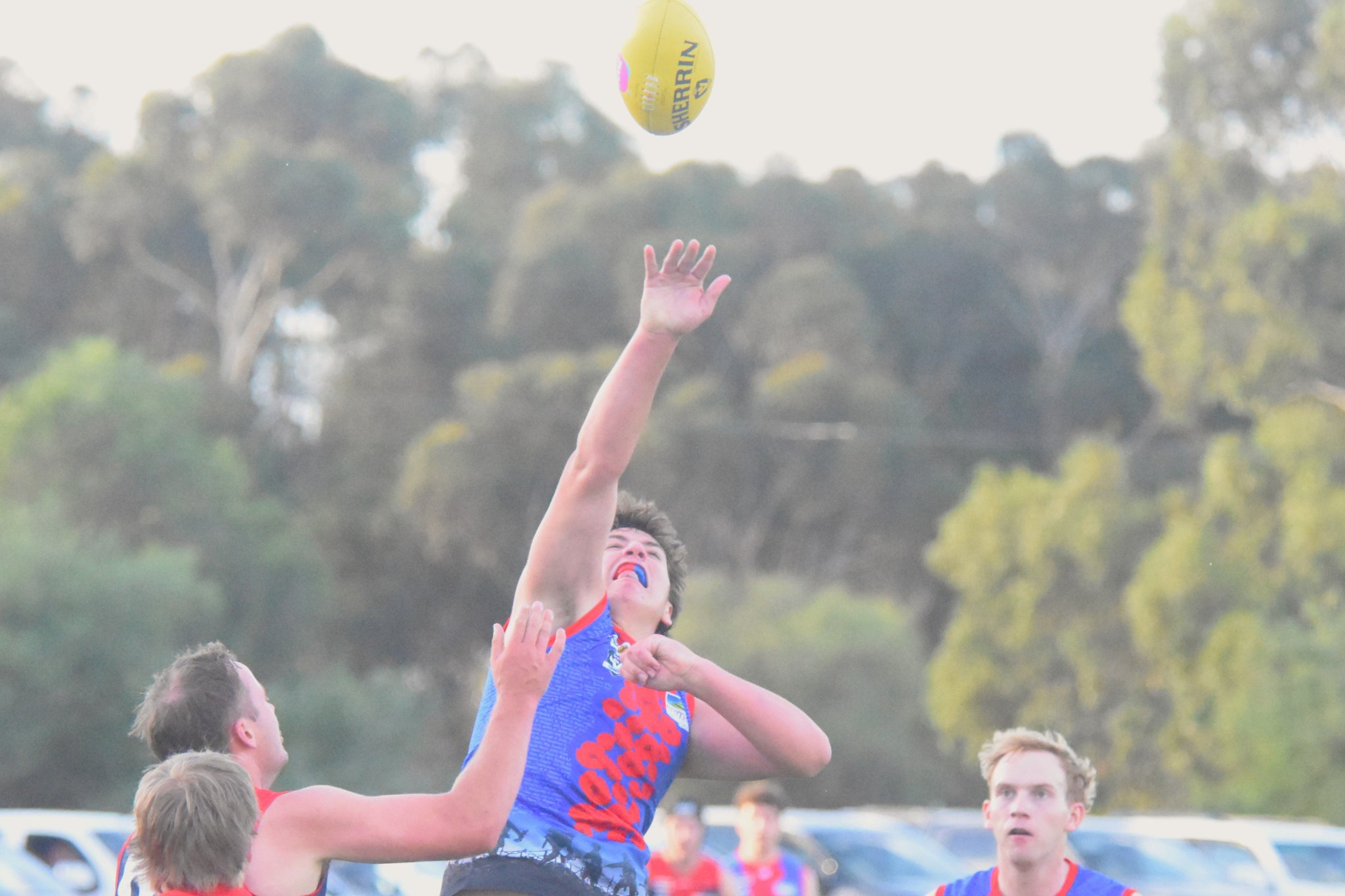 Youngster Sid Kingston was among Rupanyup's best as the Panthers defeated Taylros Lake 84-70 in round five of the HDFNL.