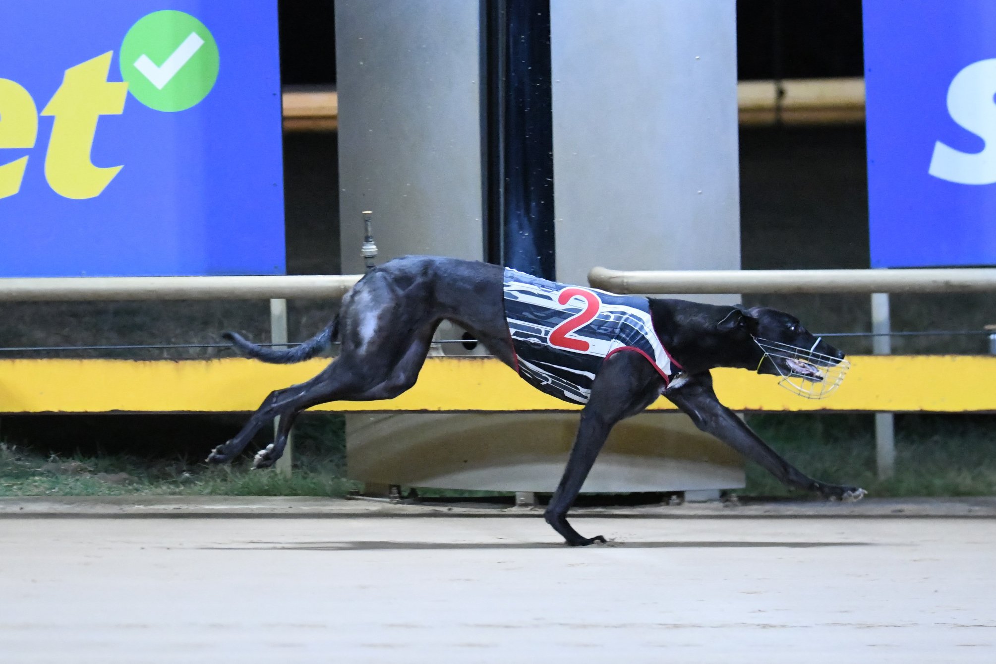 Tangela Bale qualified fastest with a time of 26.75 over the 485m.