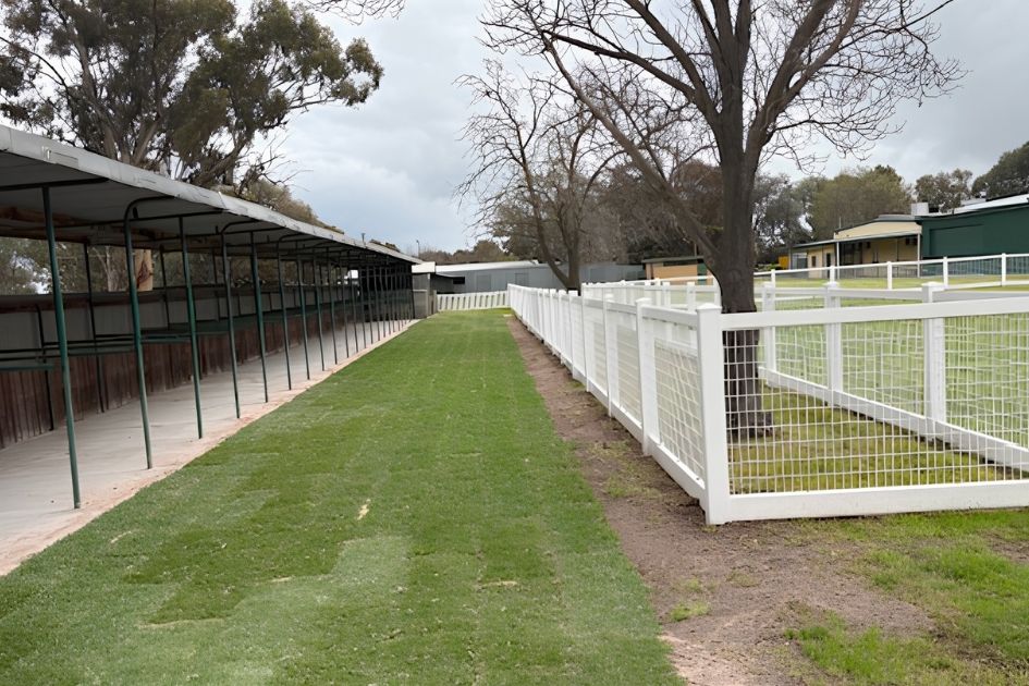 The upgraded horse stall area at Warracknabeal Racecourse features new fencing and turf surrounding the existing tie-up stalls. Photo credit: SUPPLIED