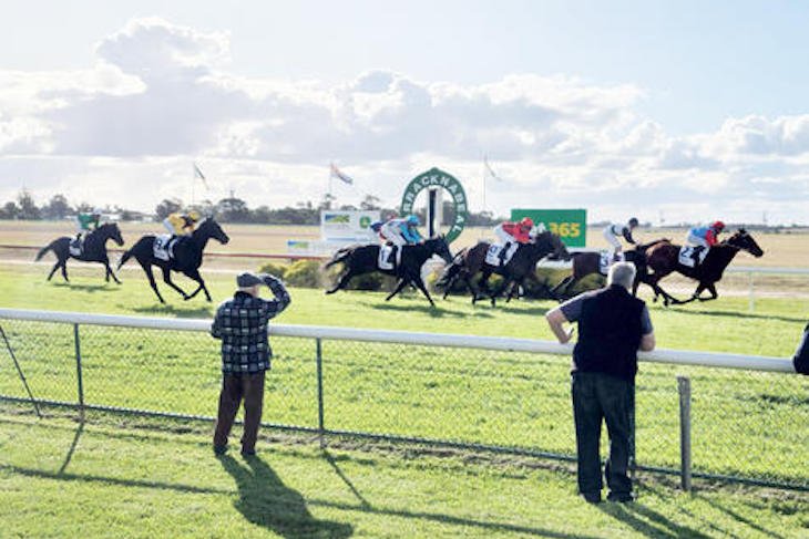 Racing club reaches half century - feature photo