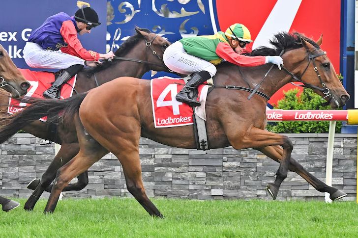 Celine Gaudray rides Paul Preusker-trained Torranzino (4) to victory in the Geelong Cup over Gilded Water. The pair will race in the 2025 Melbourne Cup. (Picture: Racing Photos/Reg Ryan).
